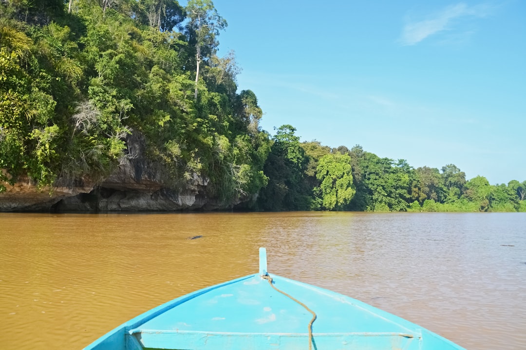 blue boat on water near green trees during daytime