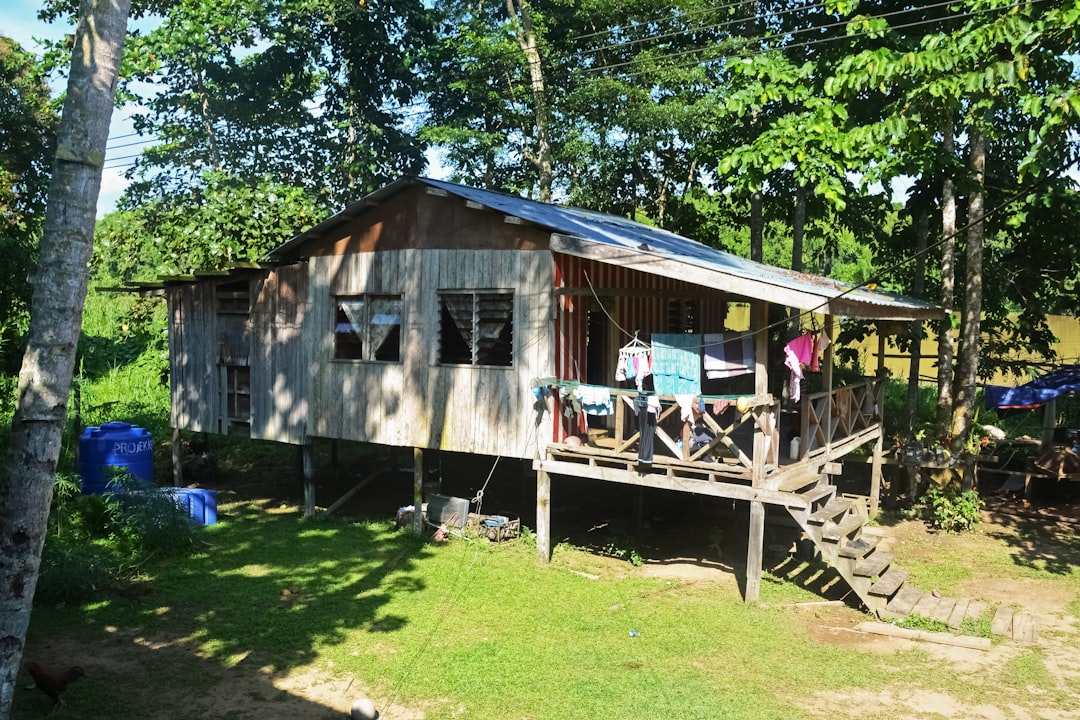 people sitting on bench near brown wooden house surrounded by green trees during daytime