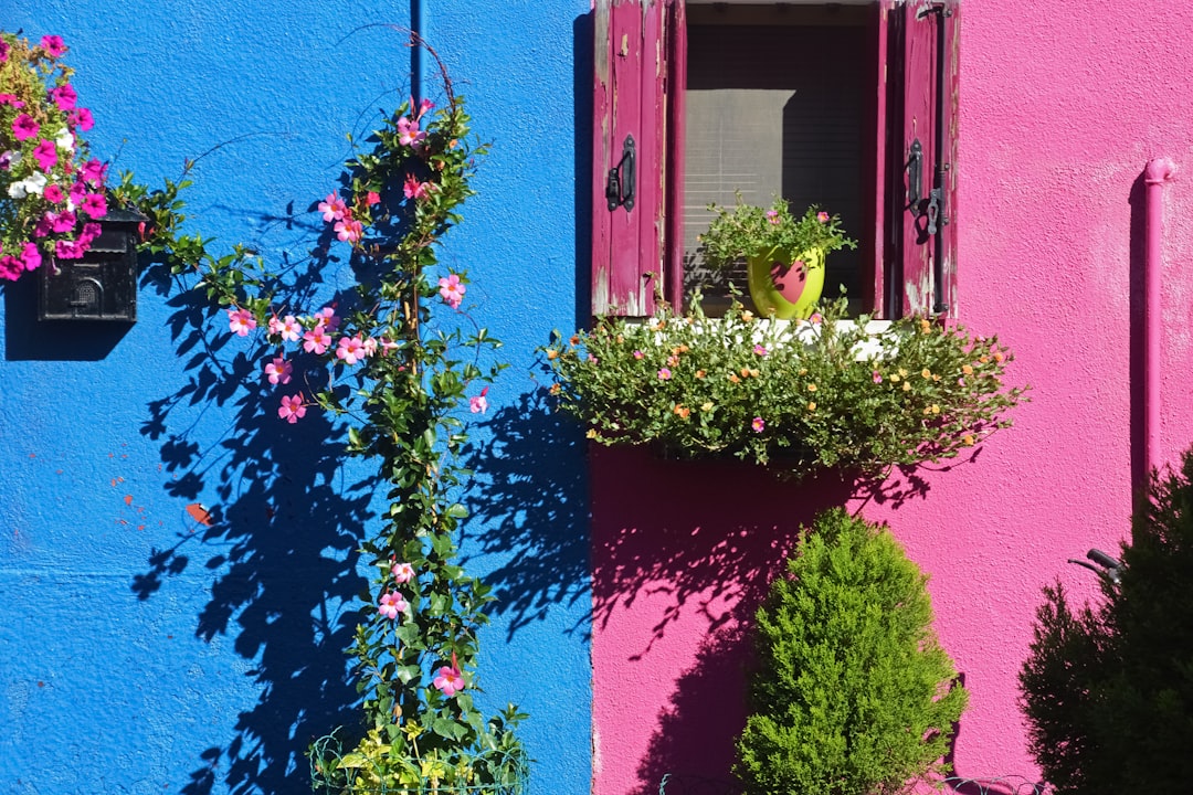 green and purple plant on pink concrete wall