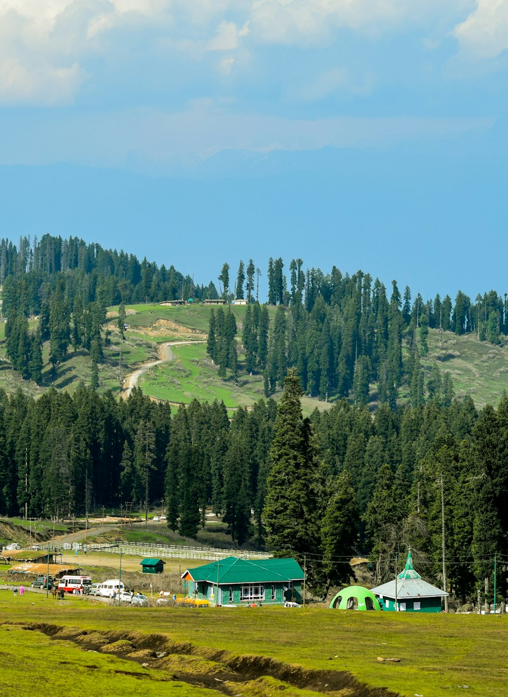 green trees on mountain during daytime