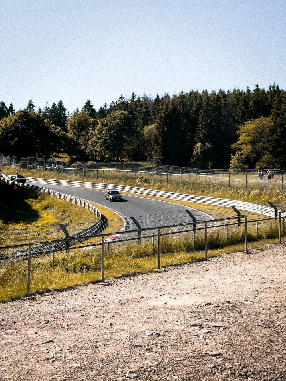 昼間の緑の木々の間の灰色のコンクリート道路