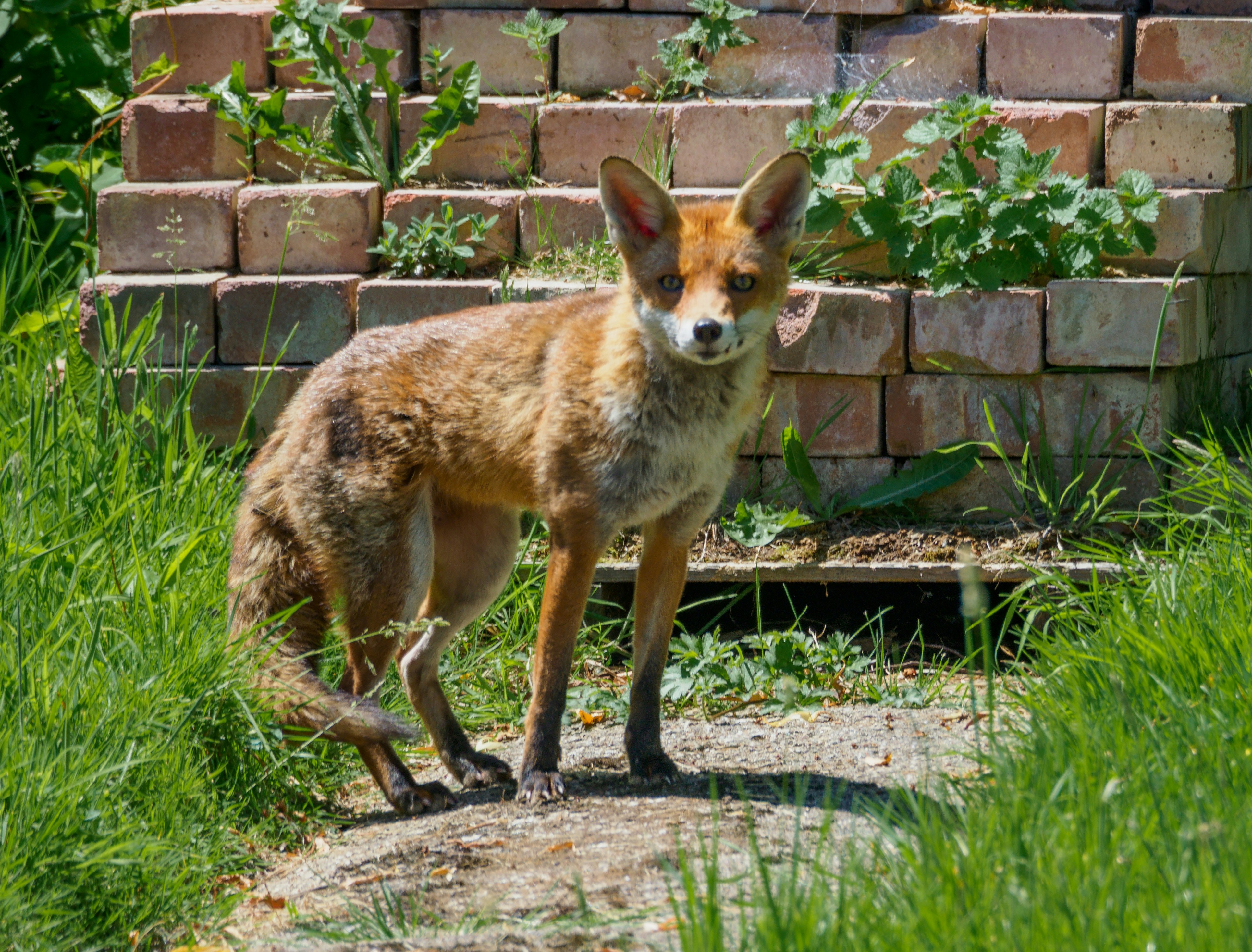 Photo by brett_jordan