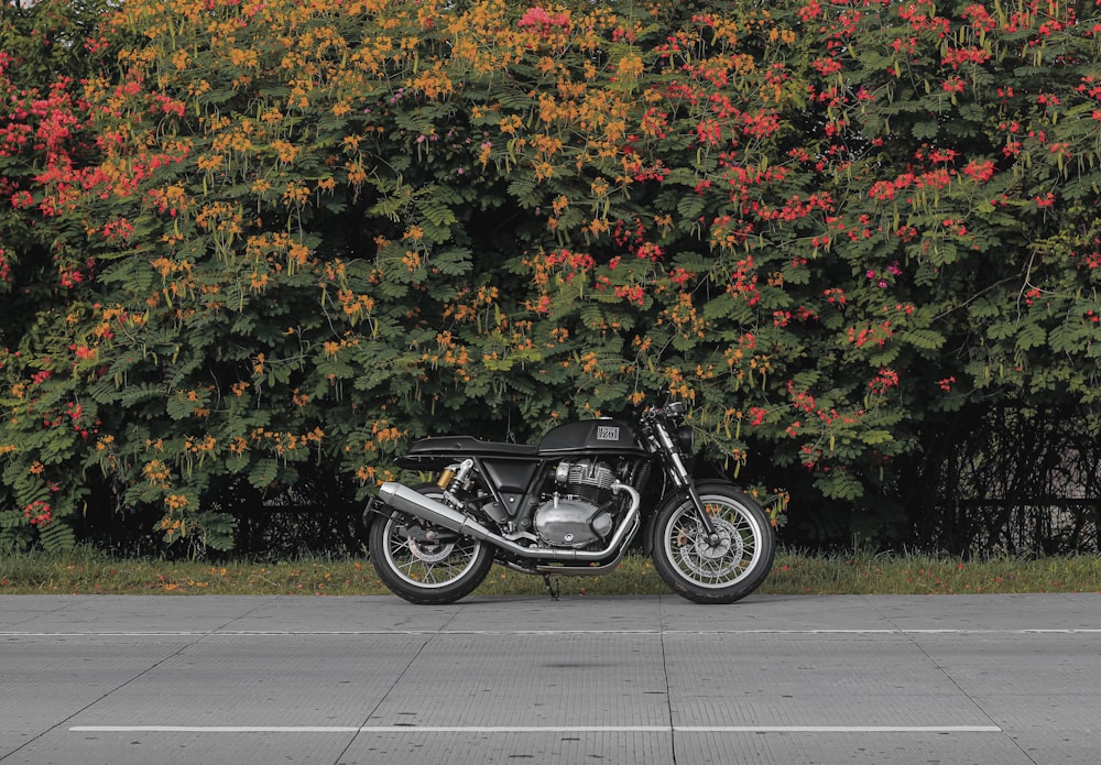 black motorcycle parked beside green and yellow leaves