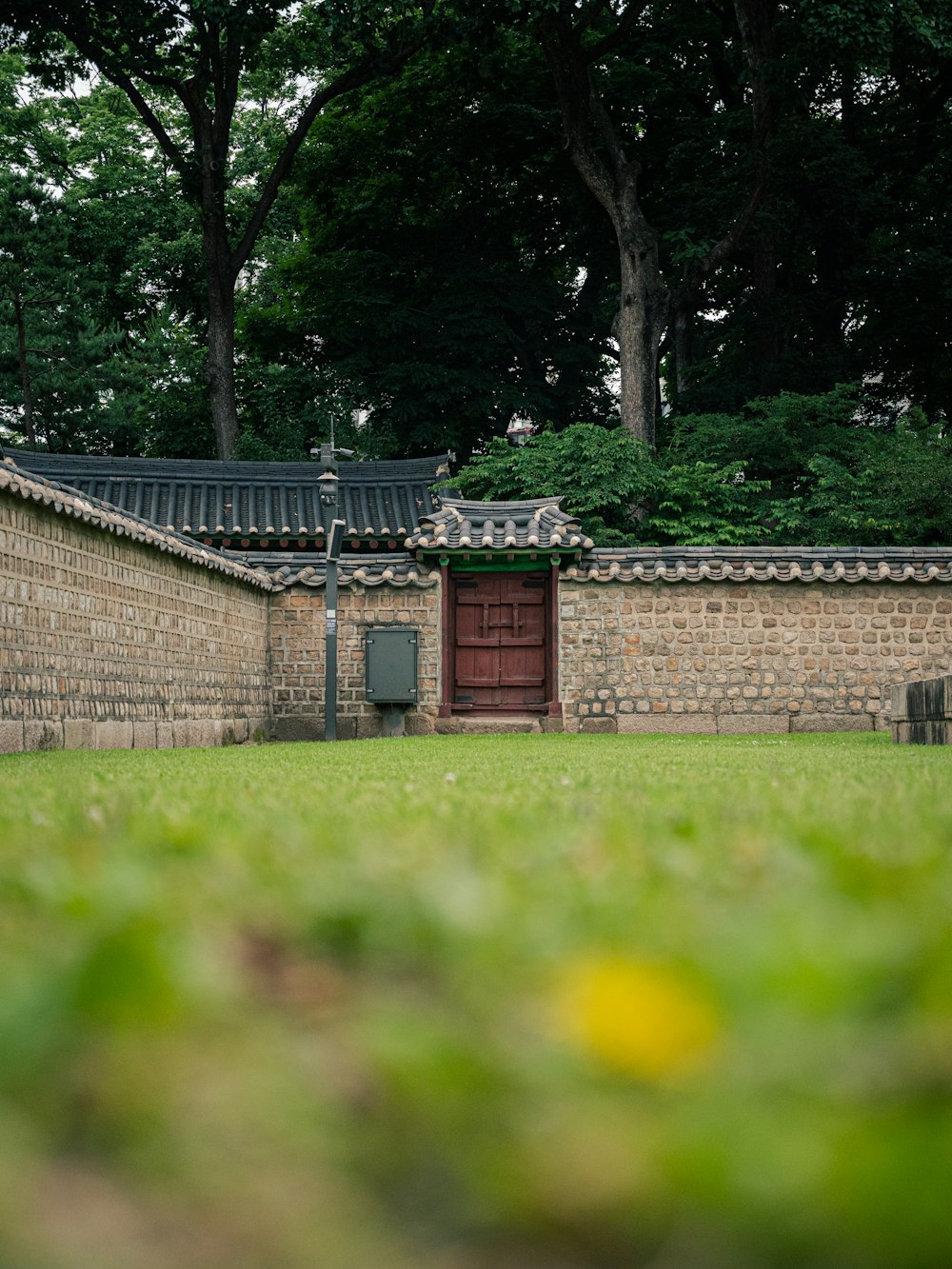 green grass field near brown brick wall