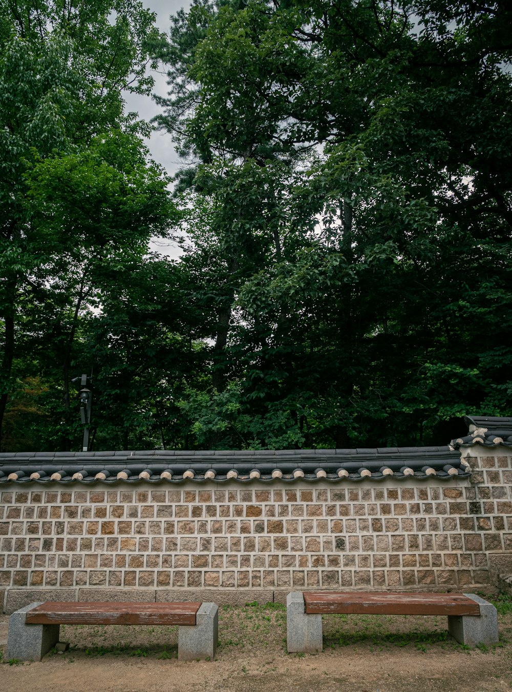 green trees beside brown brick wall