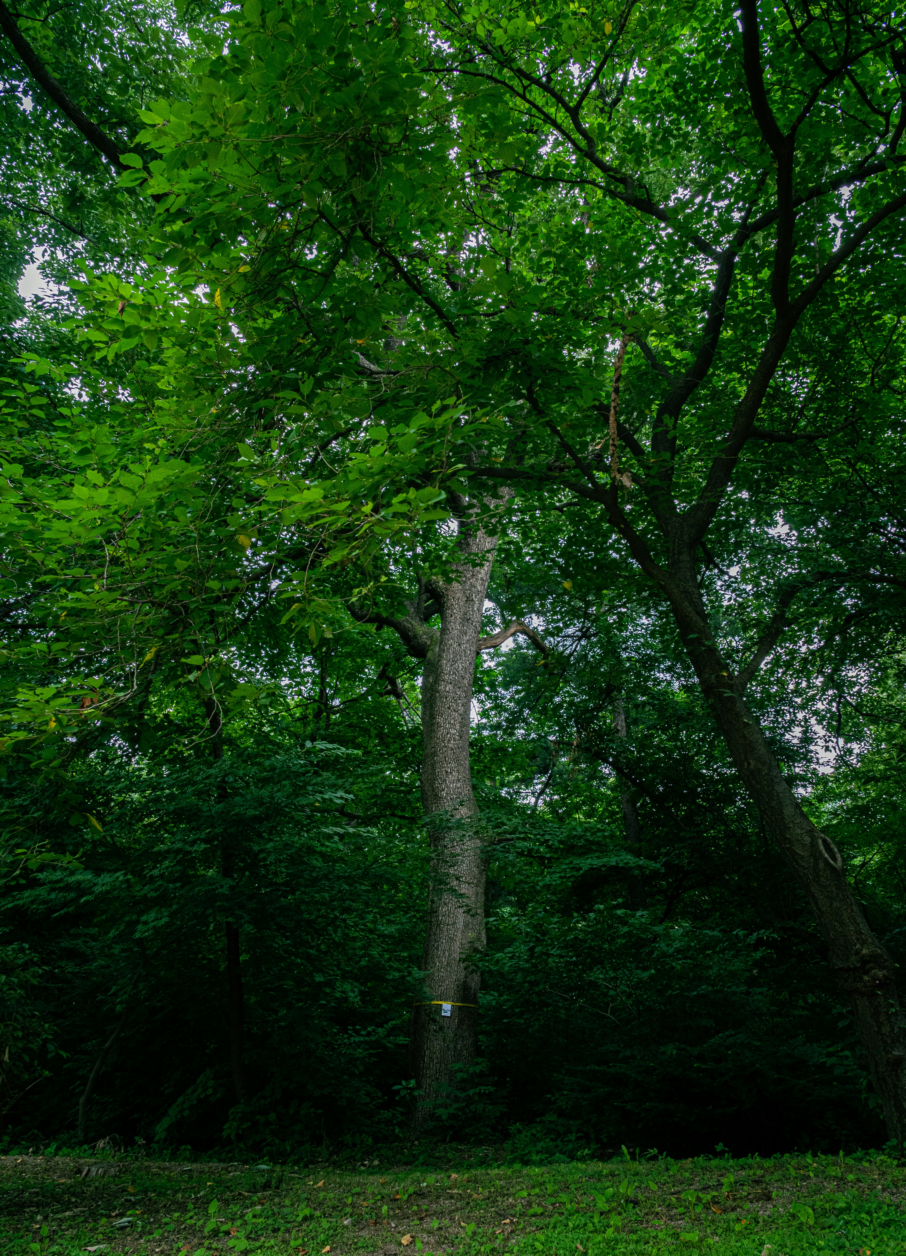 Photo by brother_yoon