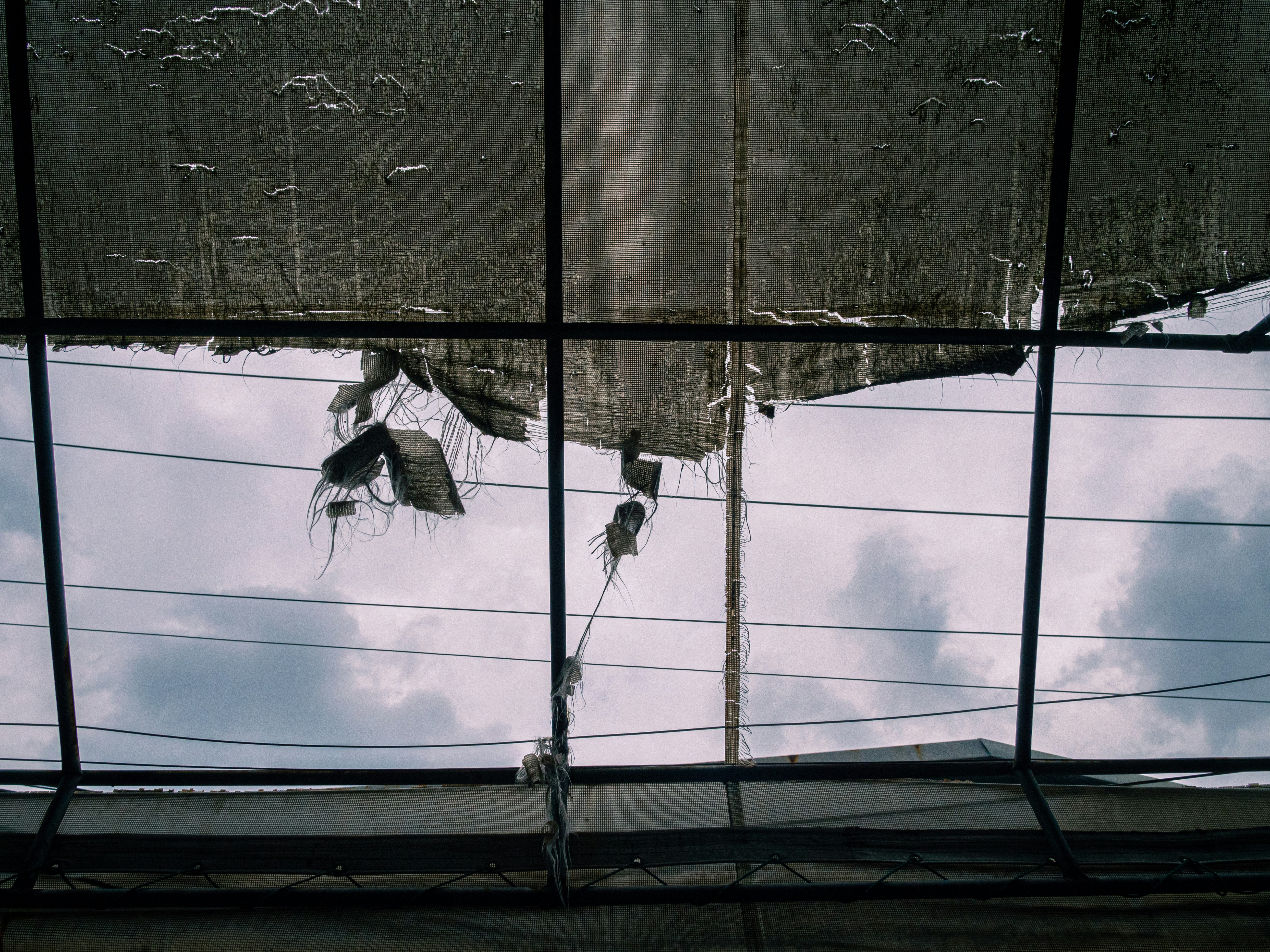 Photo by brother_yoon