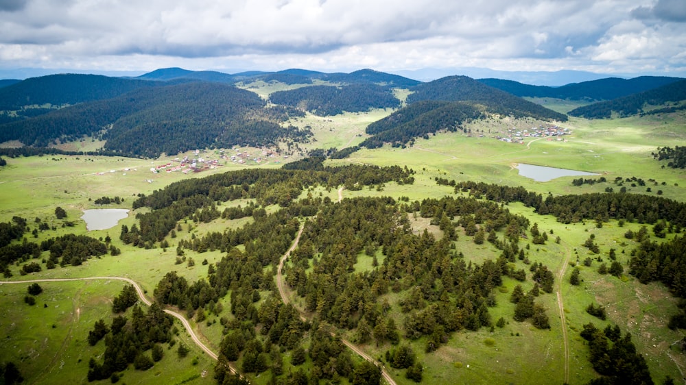 aerial view of green trees and mountains during daytime