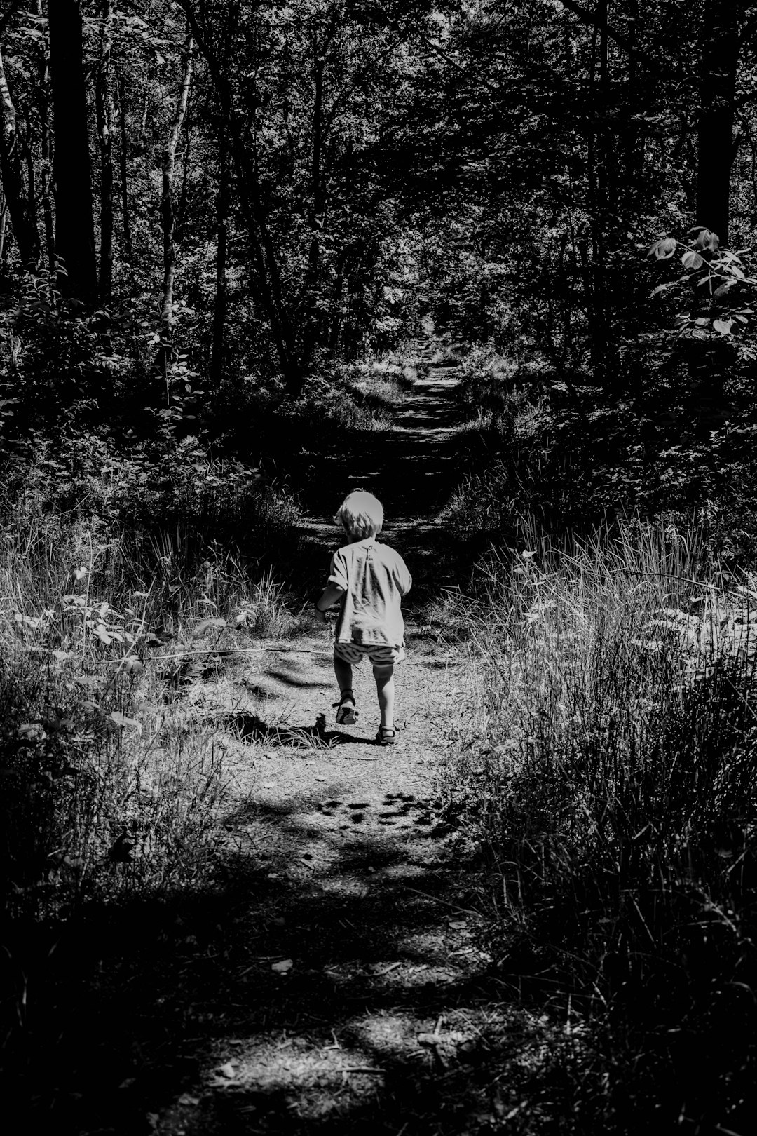 grayscale photo of child walking on forest