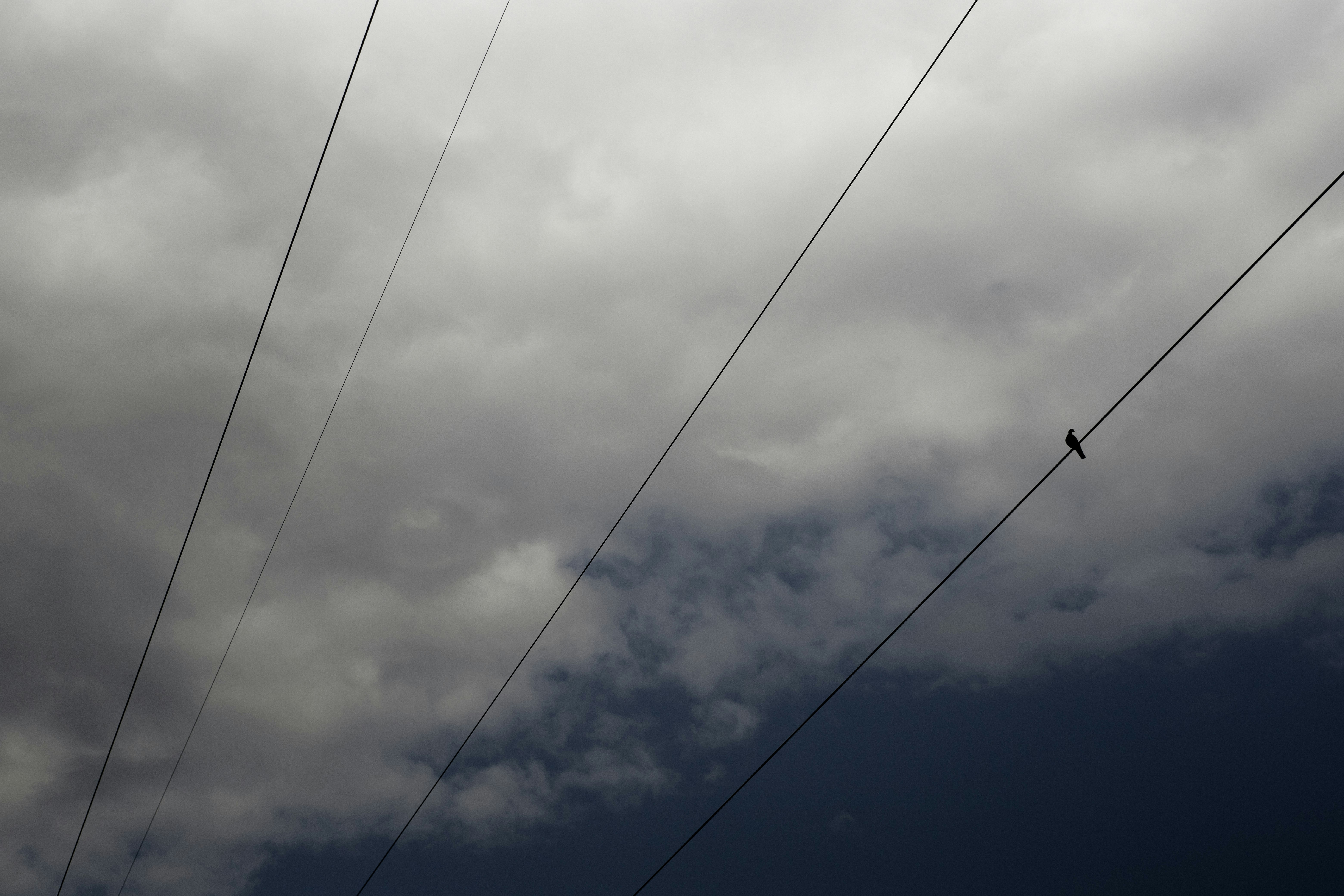 Photo by victor_vector