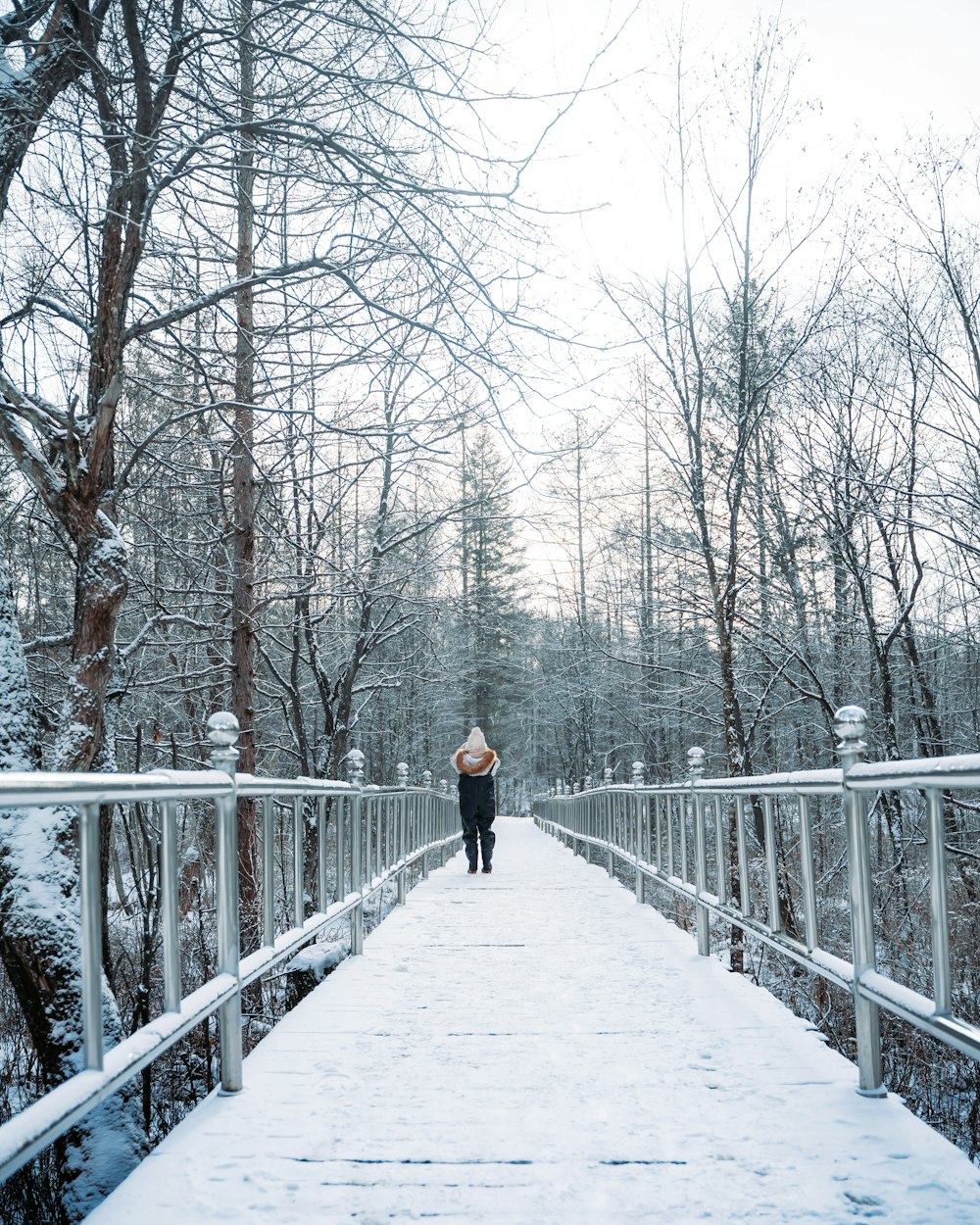 person in black jacket walking on bridge between bare trees during daytime