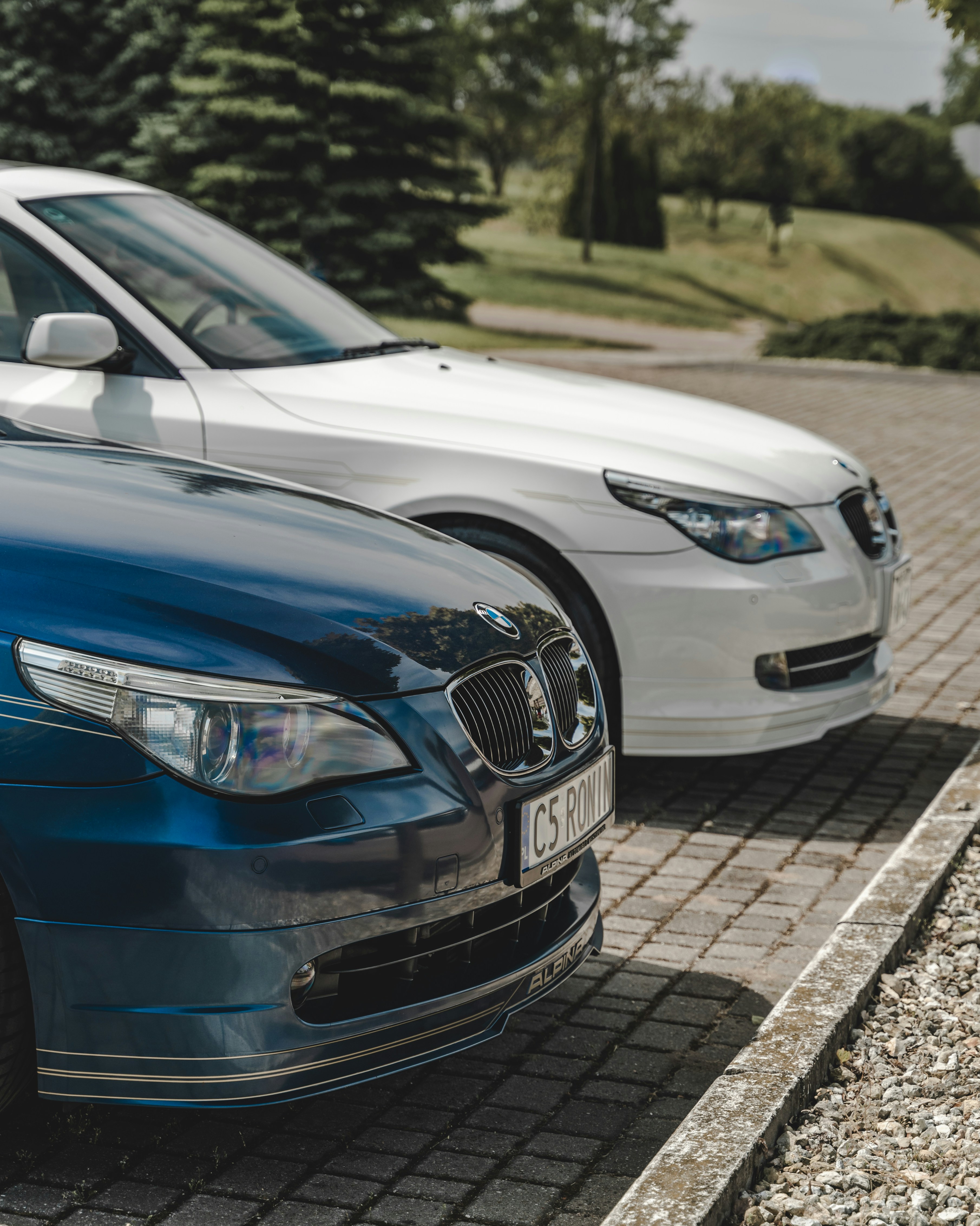 Photo by barczakshoots