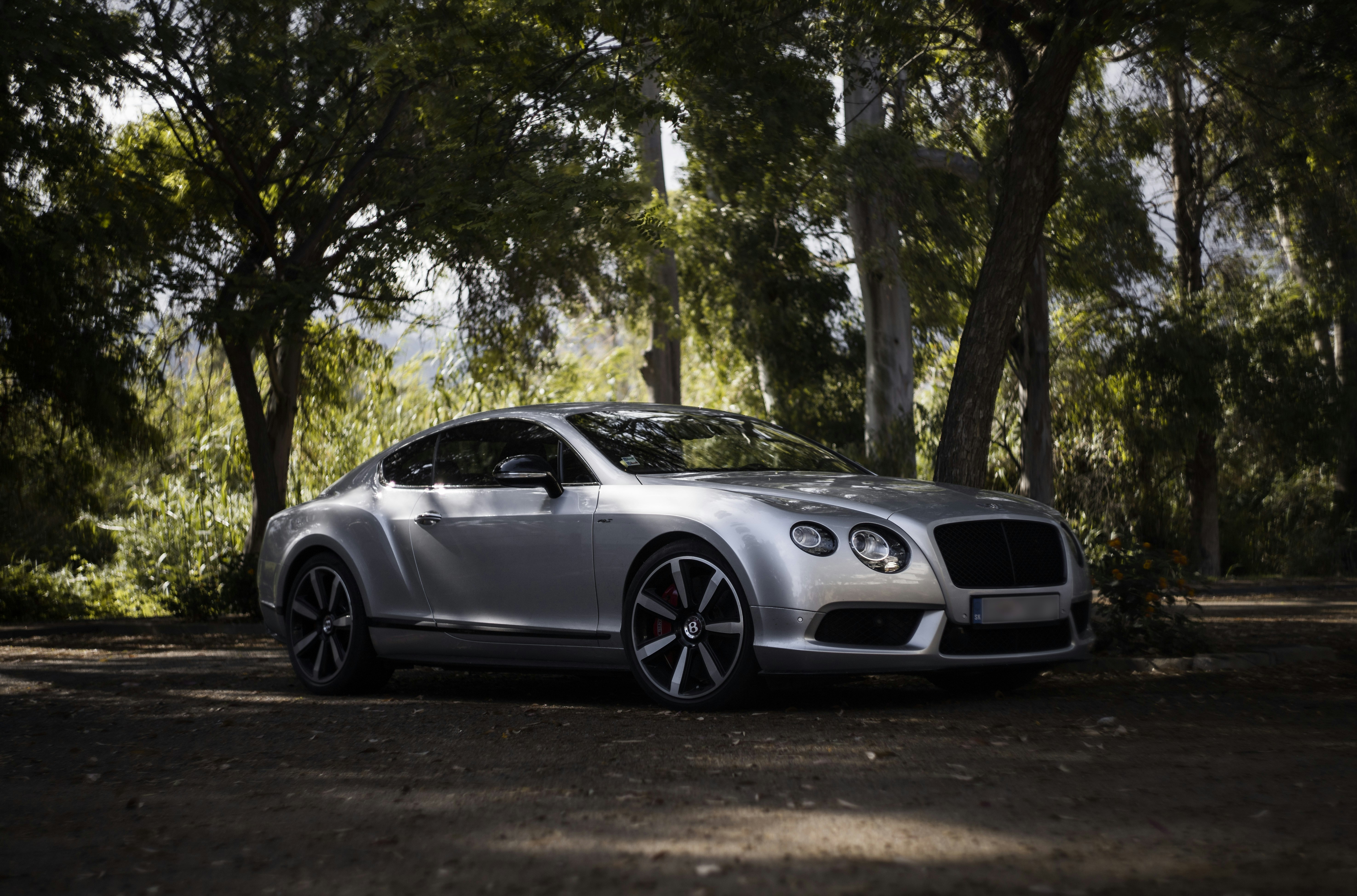 Photo by victor_vector