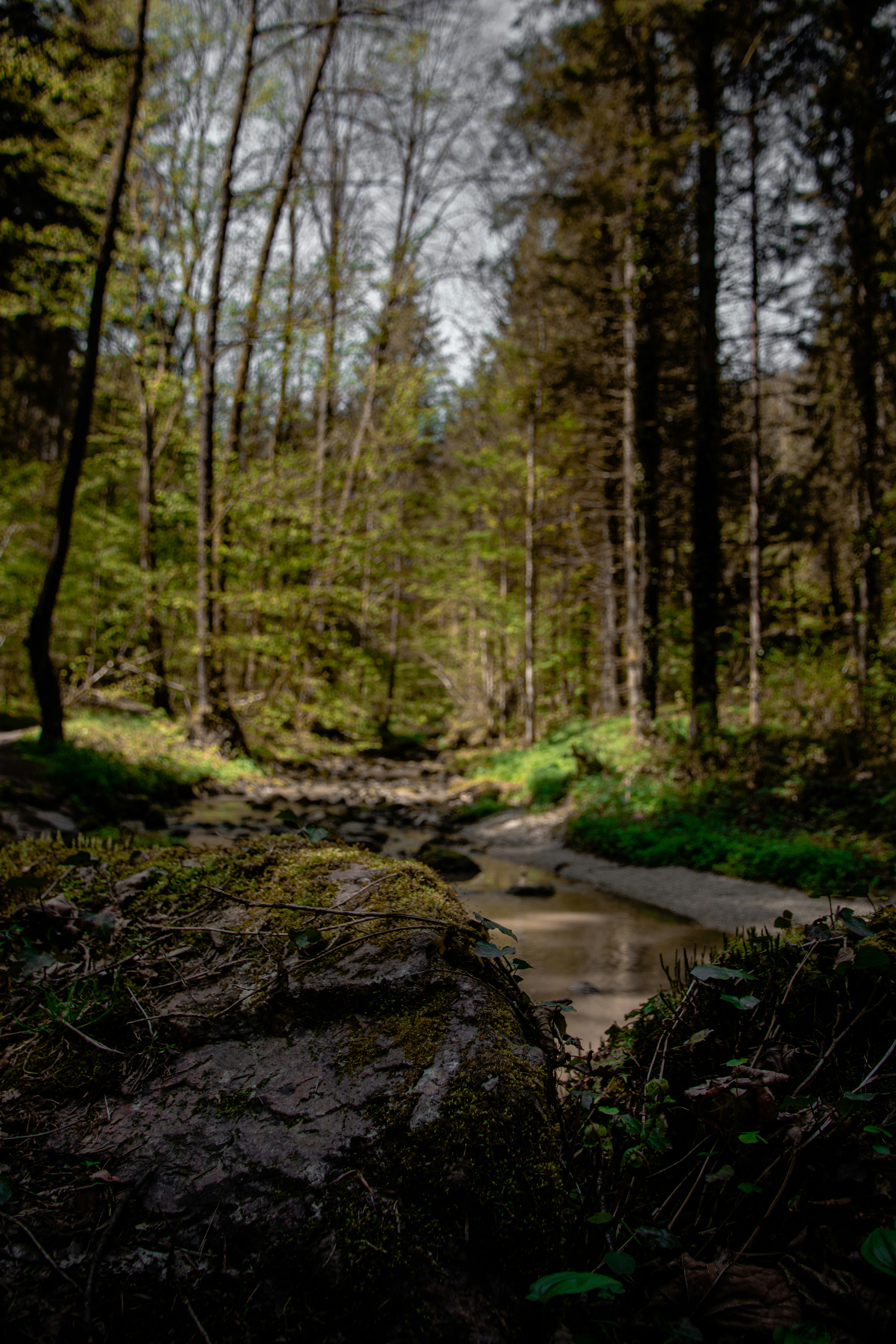 Photo by joachim_pressl