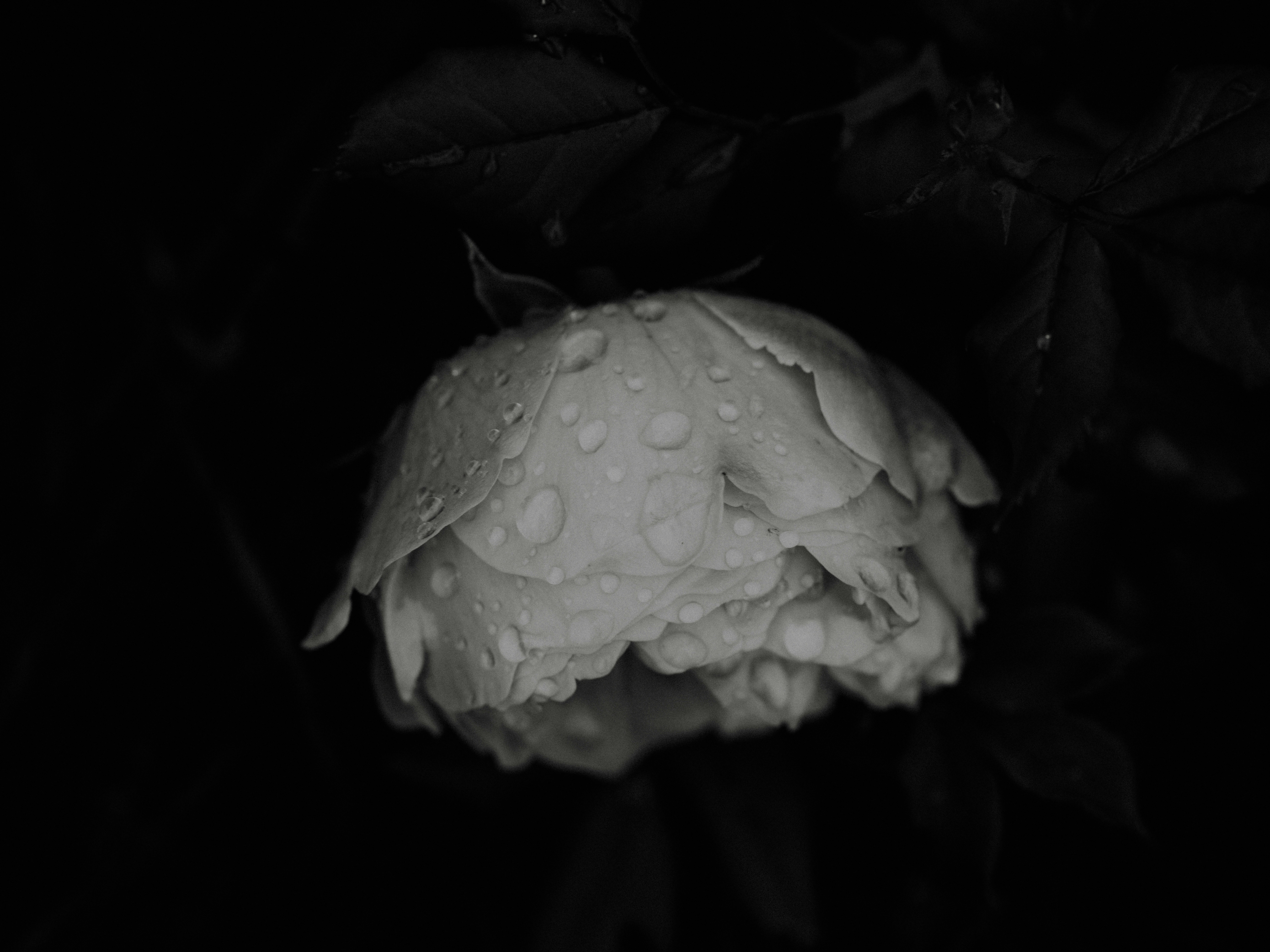 Photo by anniespratt