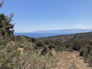 A scenic view of a travel destination with a clear blue sky and lush greenery.