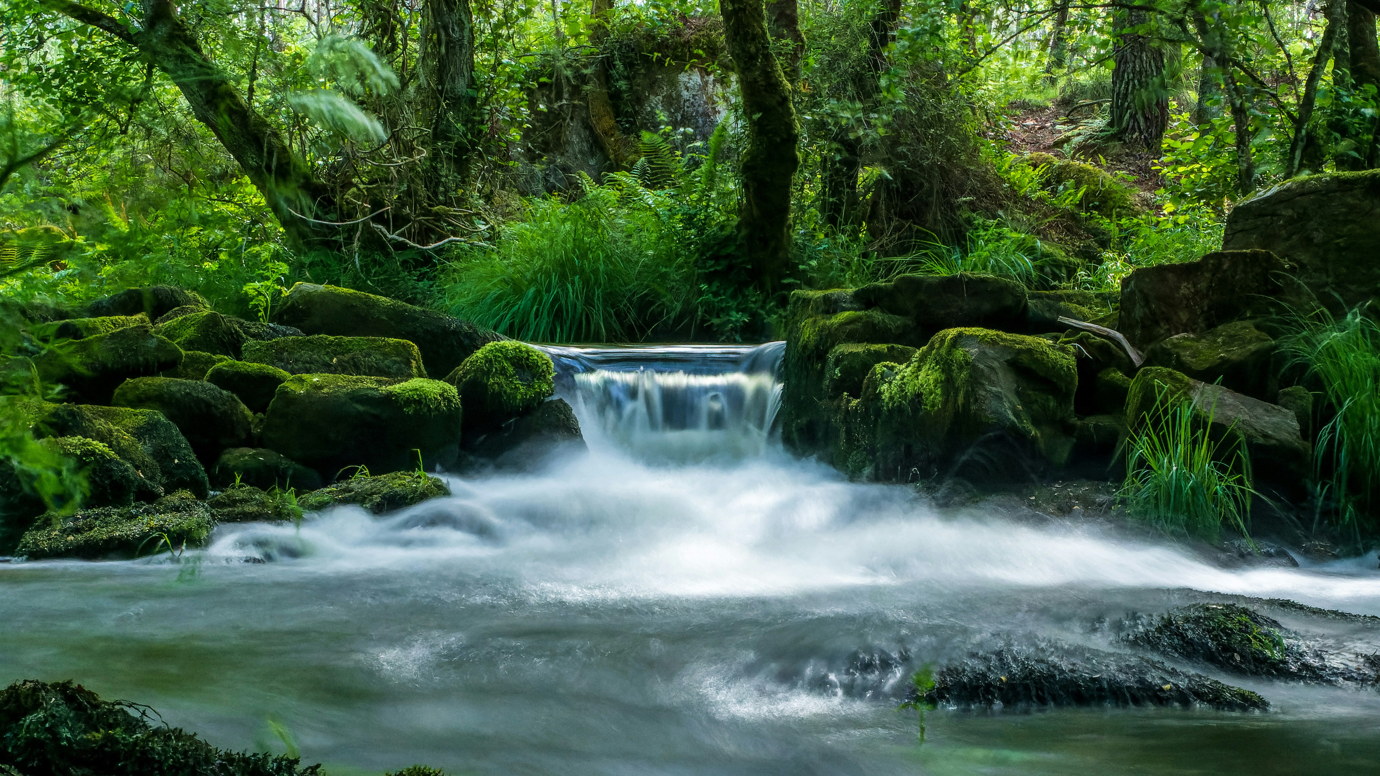 Photo by nosoylasonia