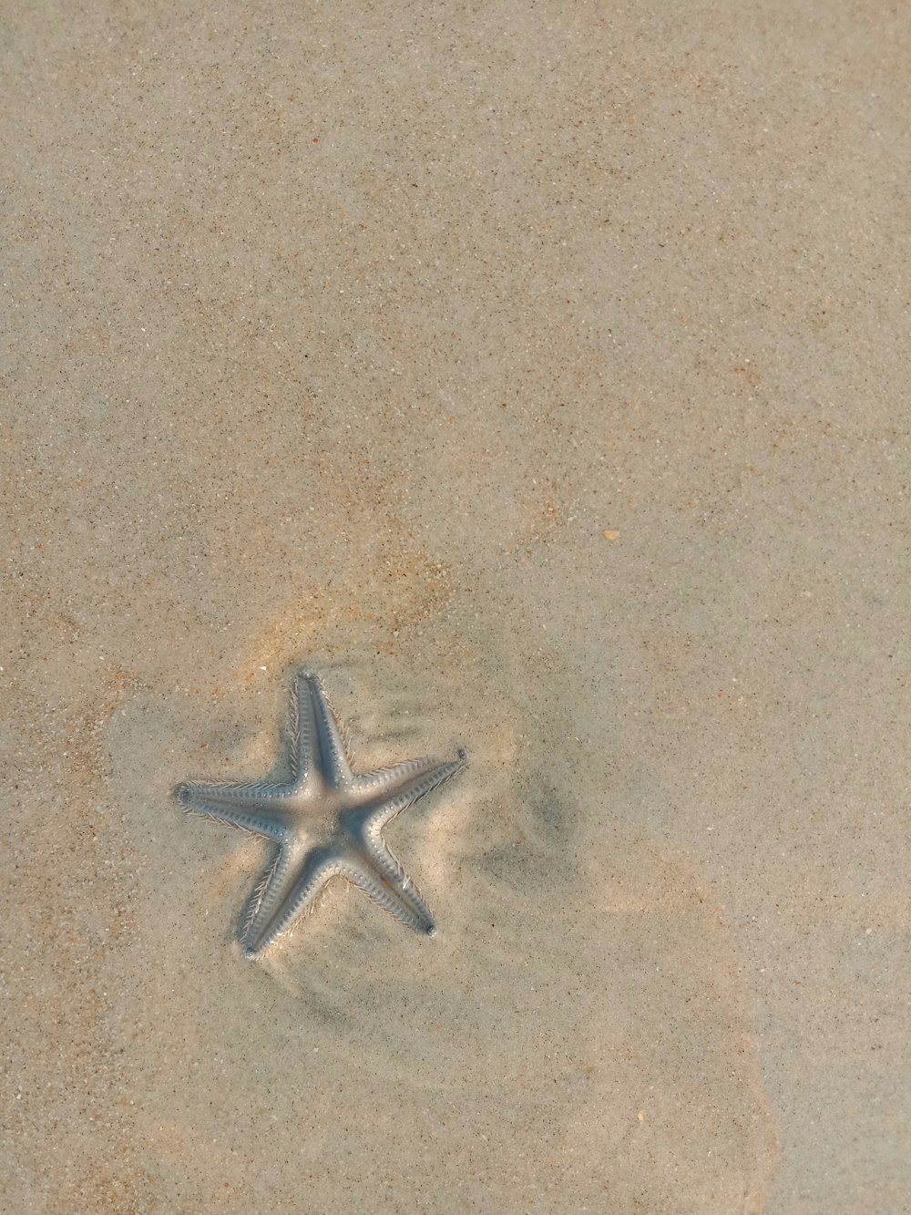silver star on gray sand