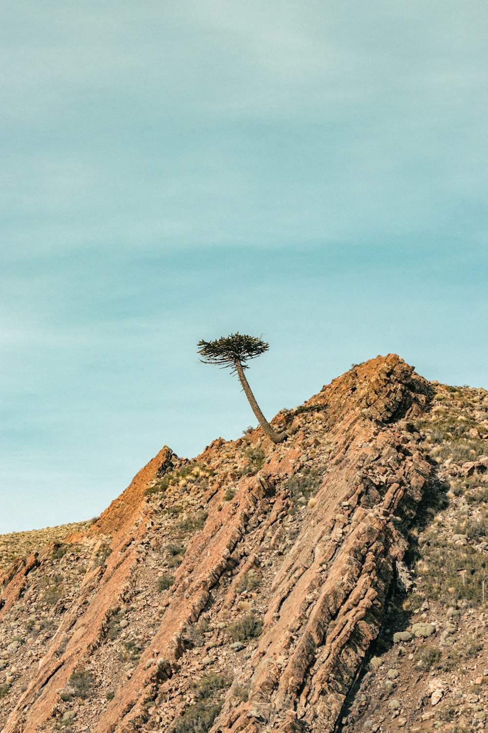 brown and gray rock mountain under blue sky during daytime