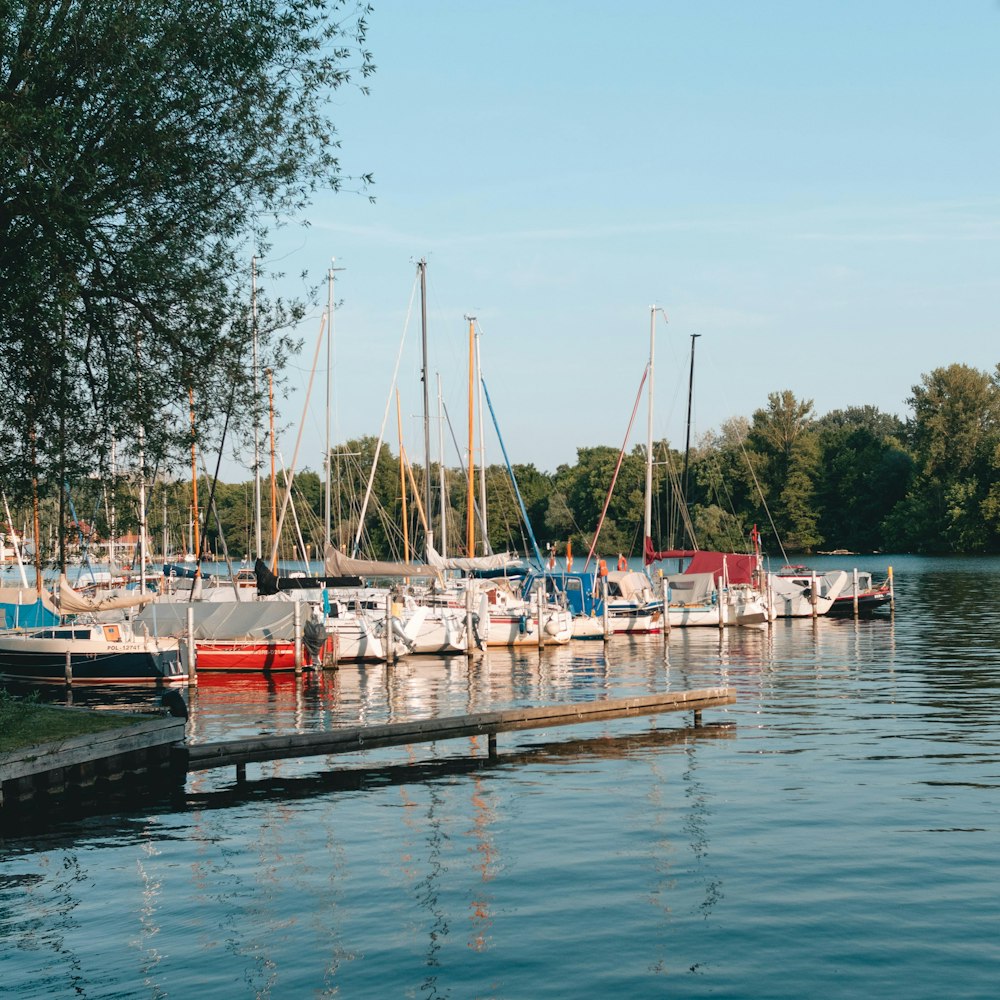 white and red boats on dock during daytime