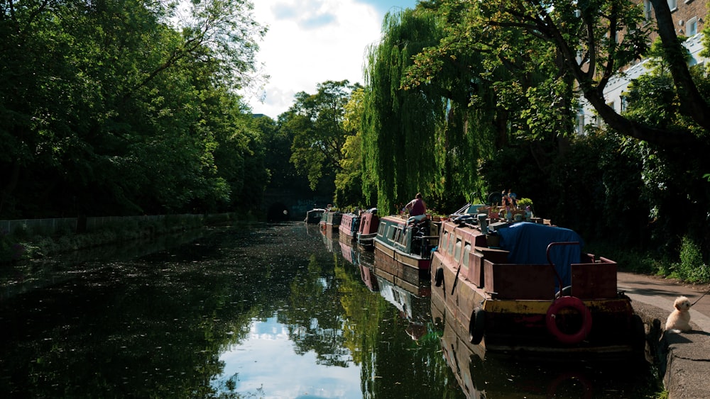 brown boat on river near green trees during daytime