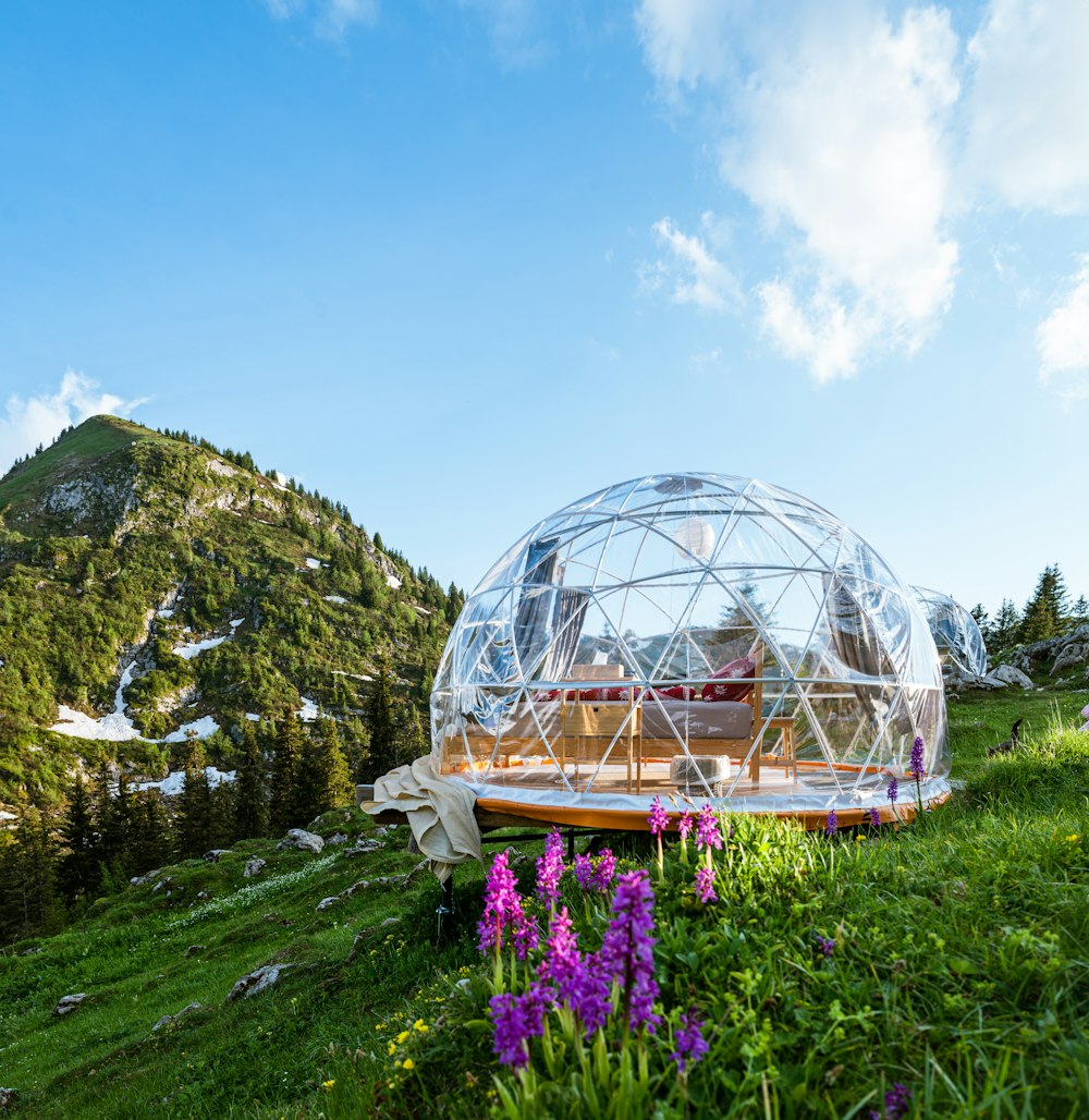 white dome tent on green grass field near mountain under blue sky during daytime