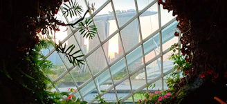 Lush greenery and colorful flowers at the Gardens by the Bay.