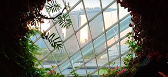 View from a botanical garden or greenhouse featuring lush green plants and flowers in the foreground. Through a geometric glass window, the iconic Marina Bay Sands hotel and surrounding skyscrapers of Singapore are visible in the background against the evening sky.
