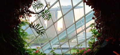 View from a botanical garden or greenhouse featuring lush green plants and flowers in the foreground. Through a geometric glass window, the iconic Marina Bay Sands hotel and surrounding skyscrapers of Singapore are visible in the background against the evening sky.