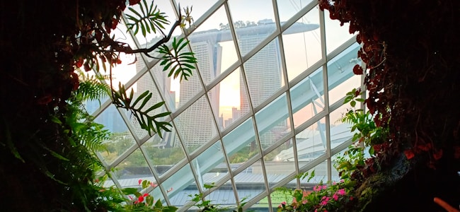 View from a botanical garden or greenhouse featuring lush green plants and flowers in the foreground. Through a geometric glass window, the iconic Marina Bay Sands hotel and surrounding skyscrapers of Singapore are visible in the background against the evening sky.