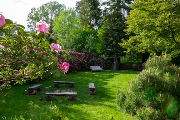 A welcoming community garden bench surrounded by lush fruit trees and blooming plants in Ballinger Park.