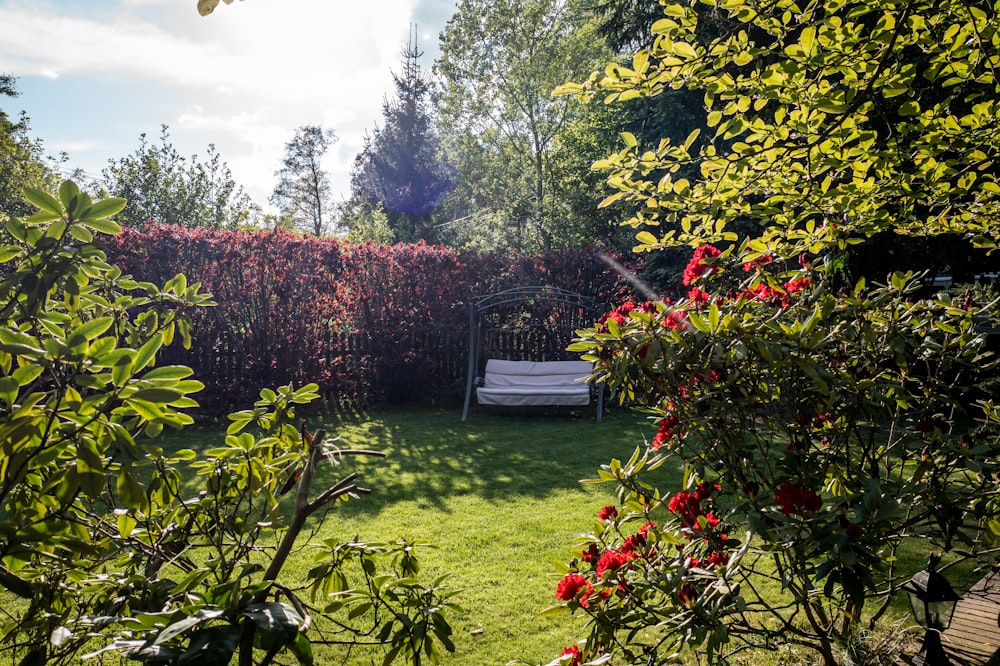 green grass field with red flowers and trees