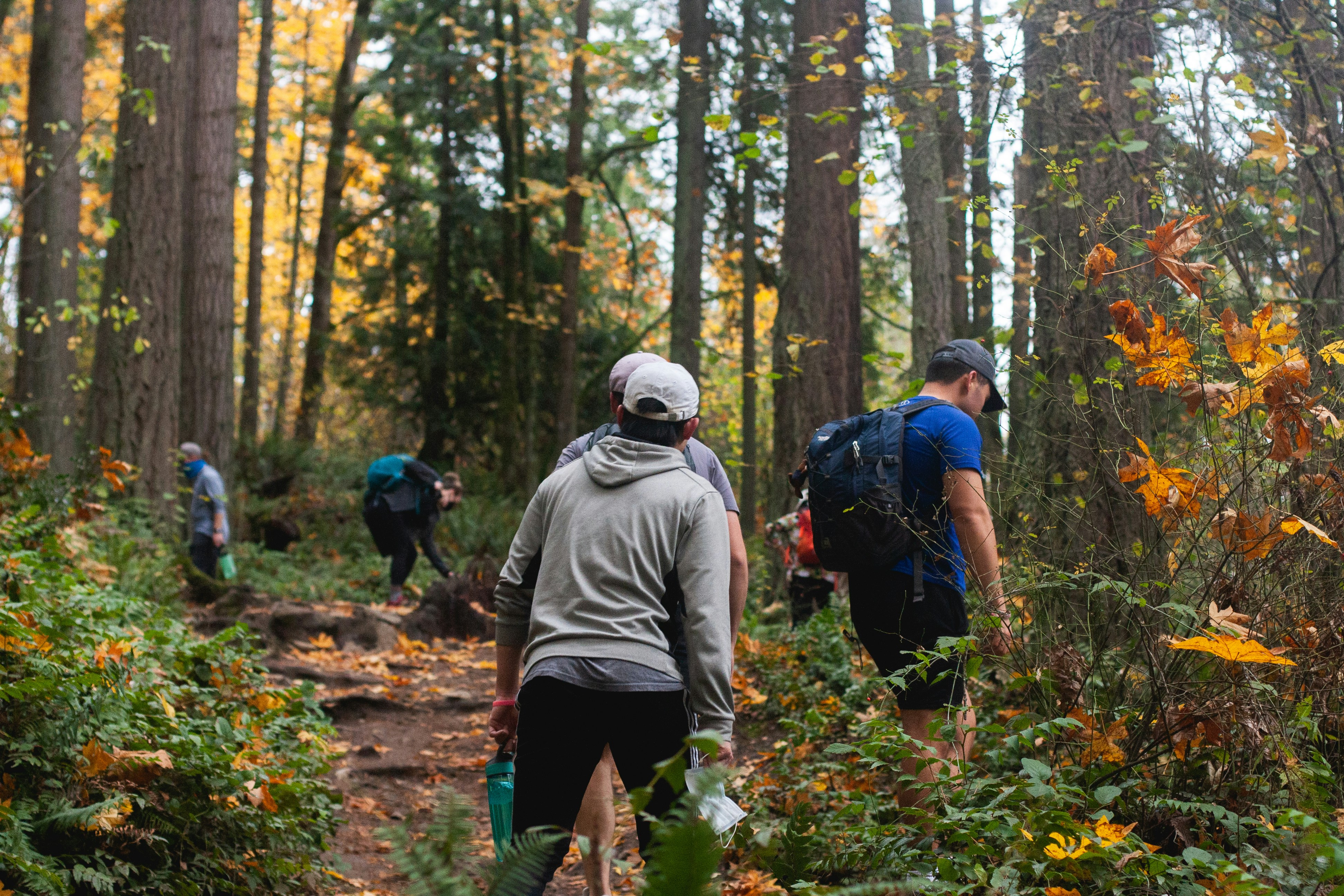 a group of people in a forest