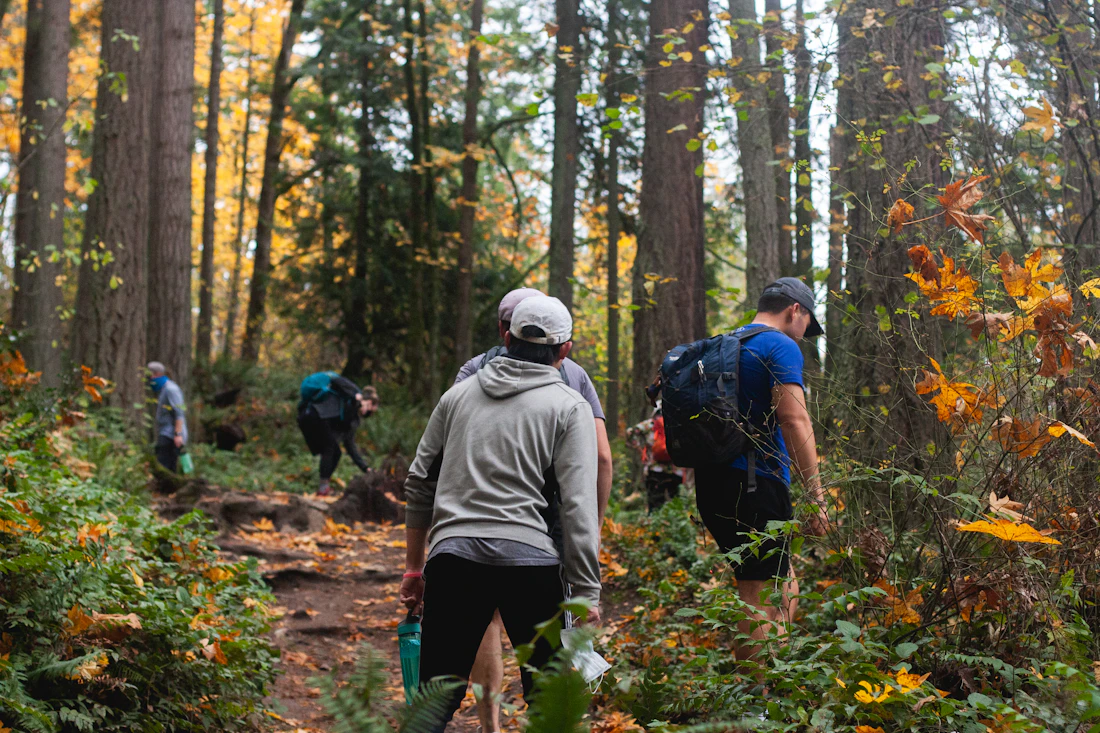 A group gathered together in a forest