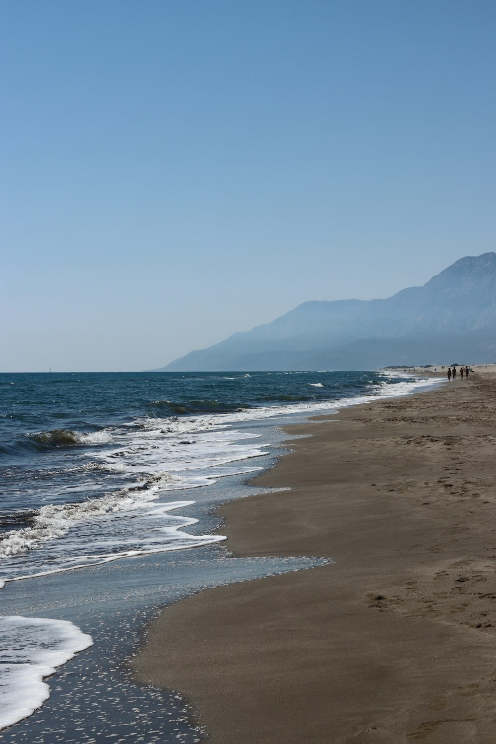 people on beach during daytime