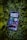 A smartphone displaying a variety of apps is resting on a bed of green leaves. The screen shows multiple applications, including music, messaging, and time tracking, all organized neatly.