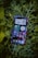 A smartphone displaying a variety of apps is resting on a bed of green leaves. The screen shows multiple applications, including music, messaging, and time tracking, all organized neatly.