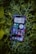 A smartphone displaying a variety of apps is resting on a bed of green leaves. The screen shows multiple applications, including music, messaging, and time tracking, all organized neatly.
