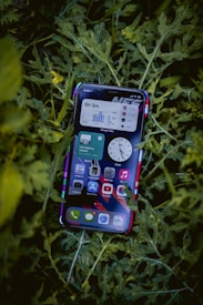 A smartphone displaying a variety of apps is resting on a bed of green leaves. The screen shows multiple applications, including music, messaging, and time tracking, all organized neatly.