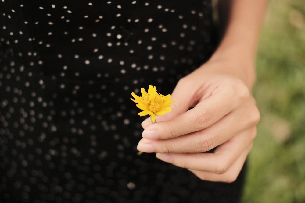 person holding yellow flower in close up photography