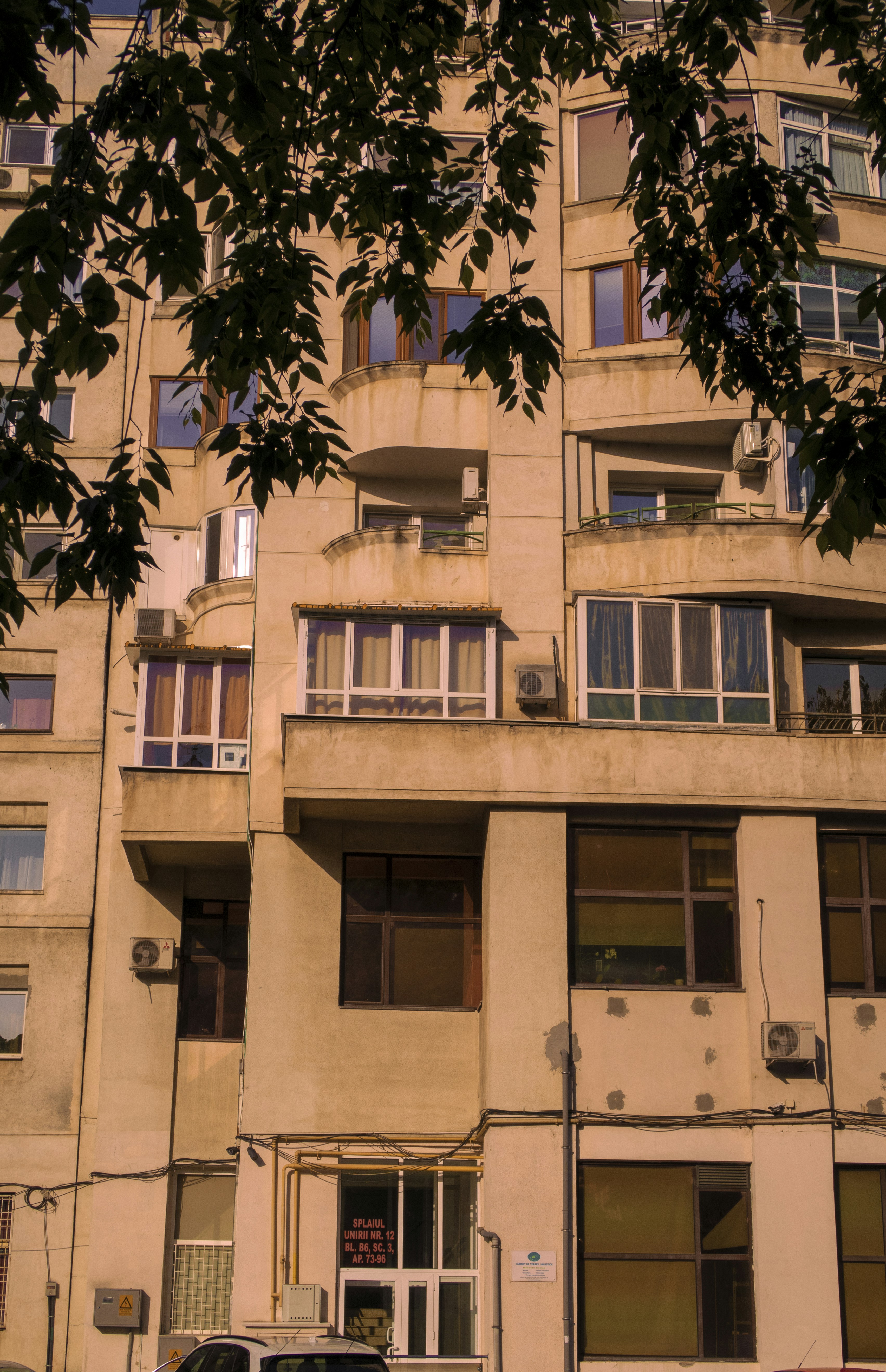 Photo by alecsandradw