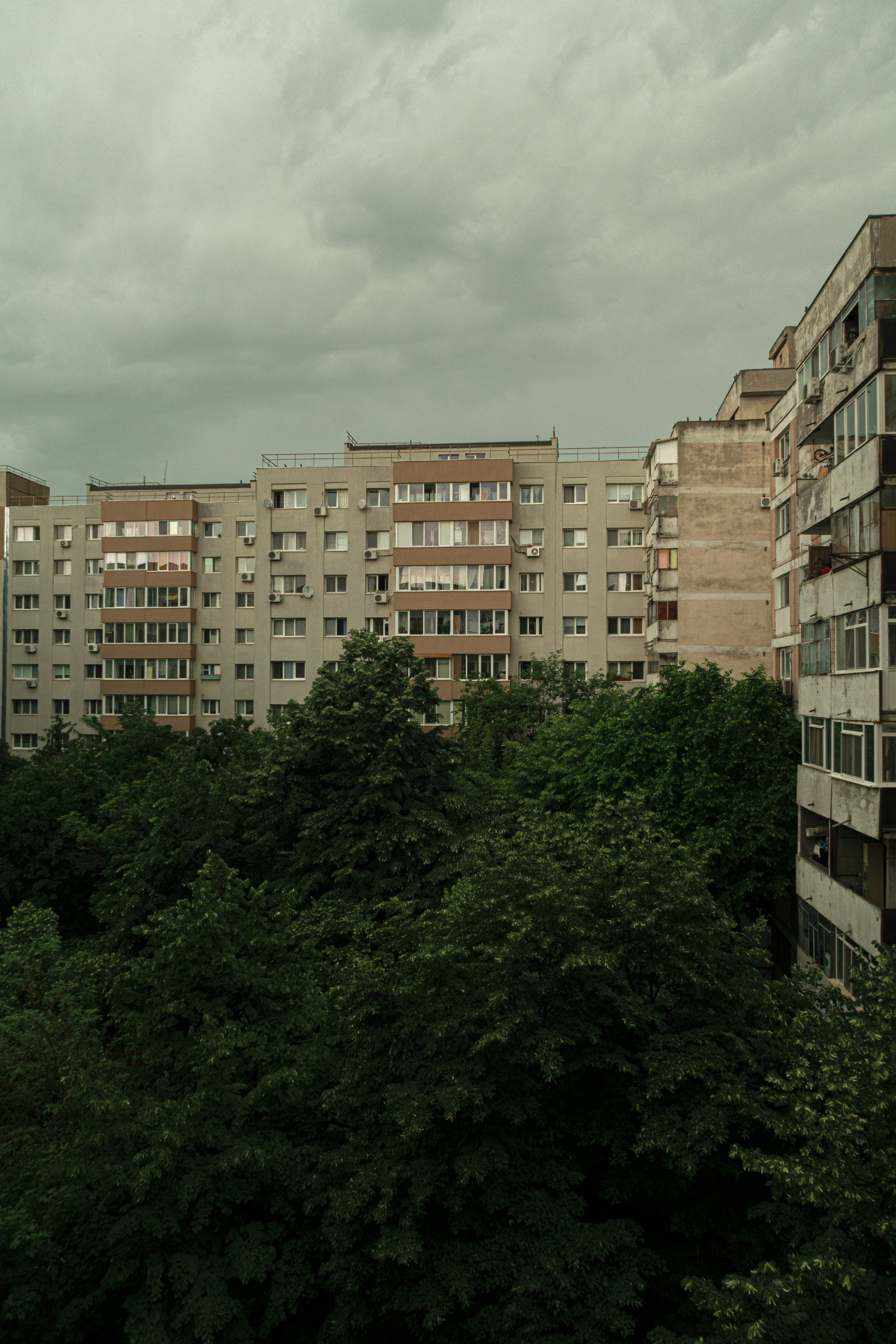 Photo by alecsandradw