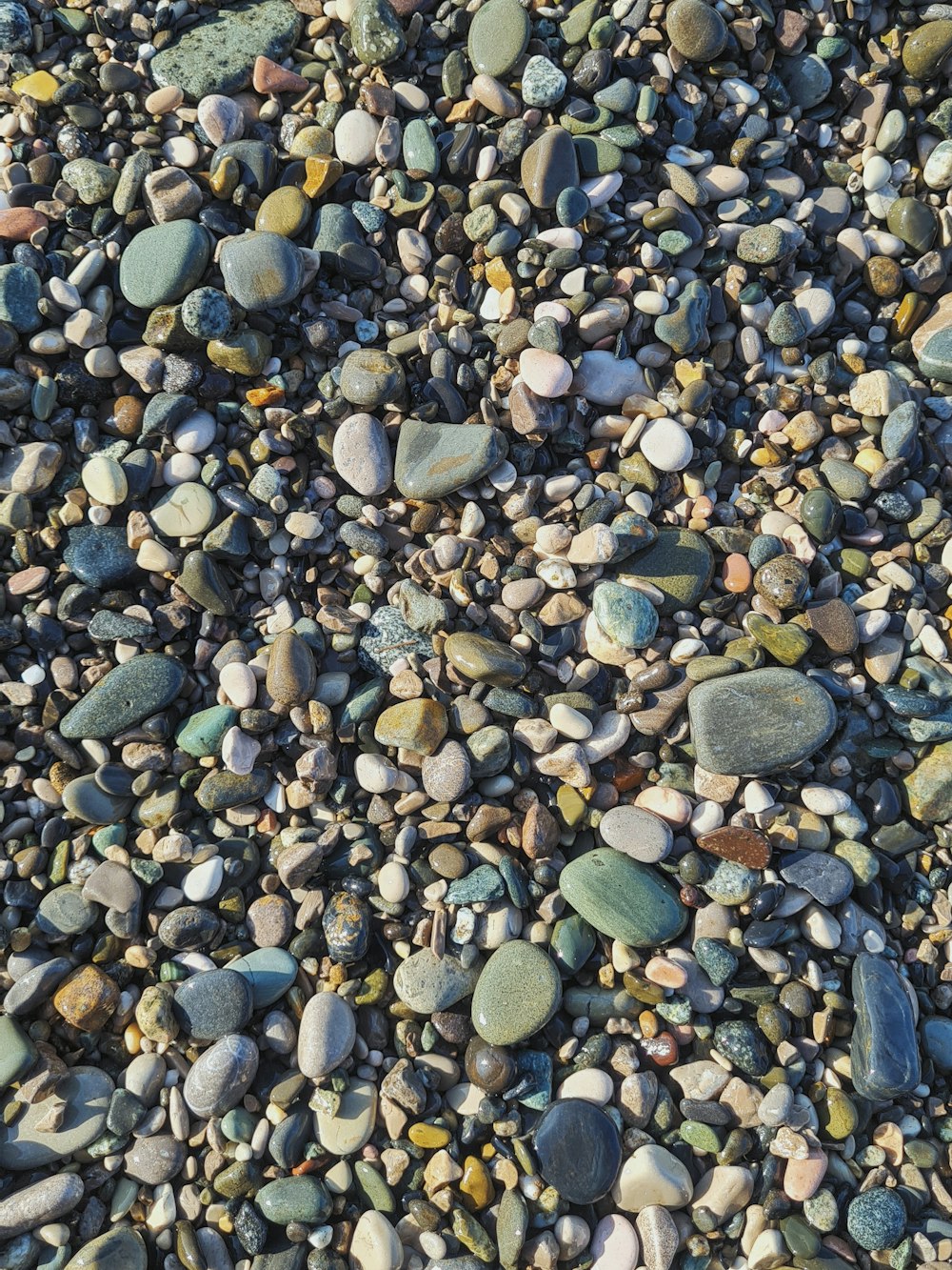 gray and brown stones on gray sand