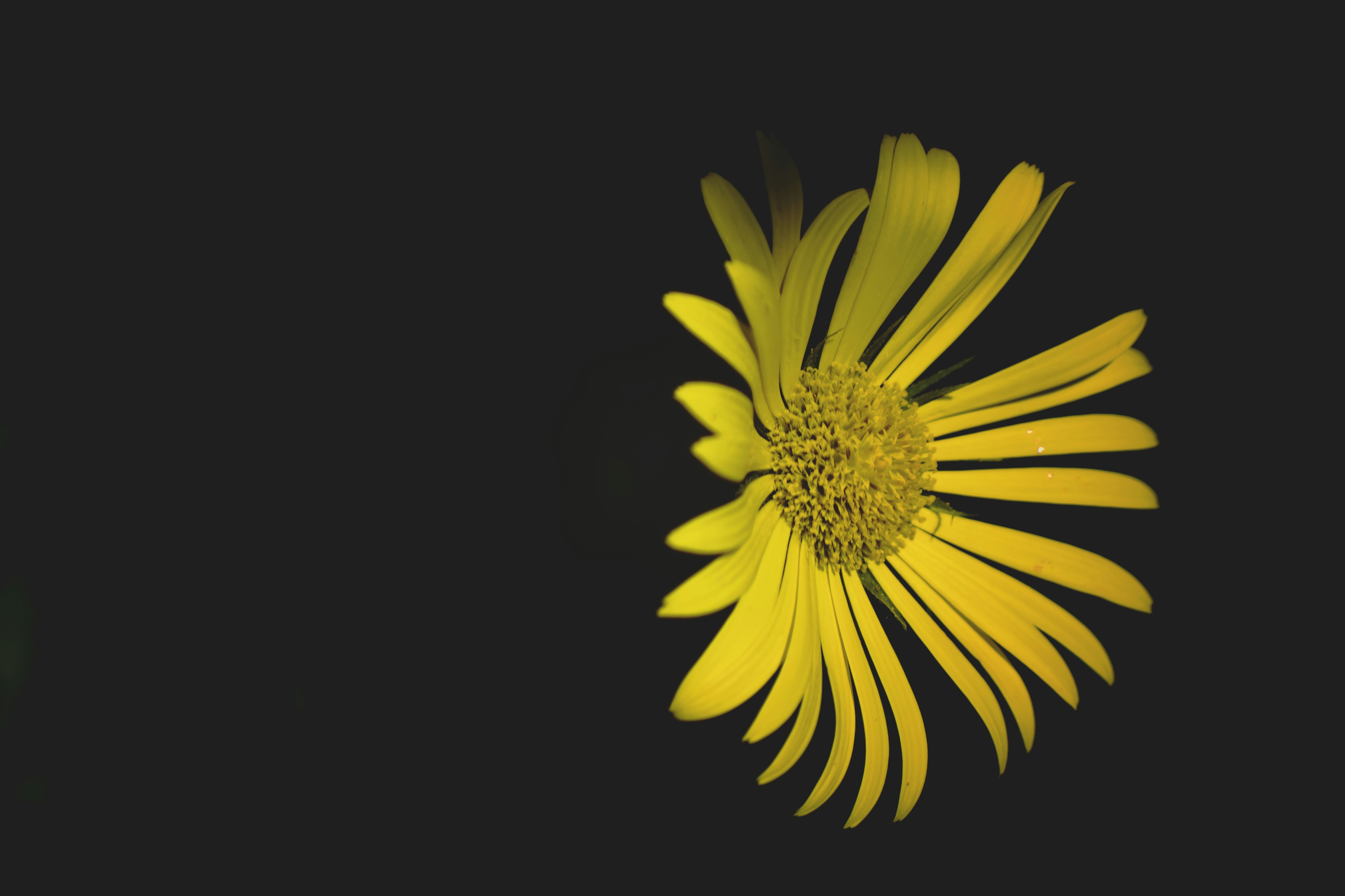 Photo by momentsbyebba