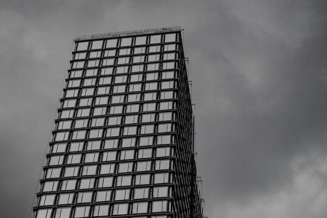 brown and black concrete building