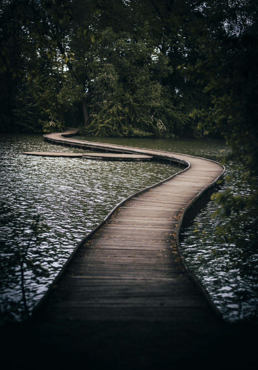 brown wooden dock on river during daytime