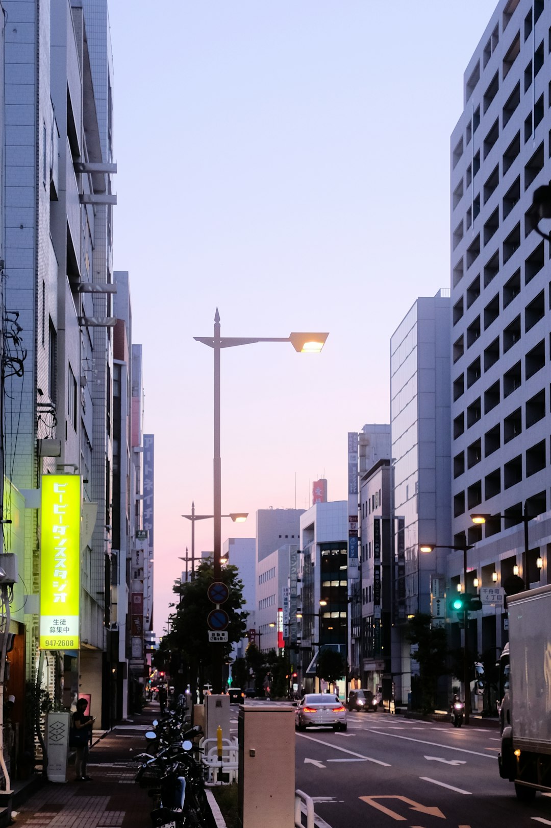 people walking on pedestrian lane during daytime