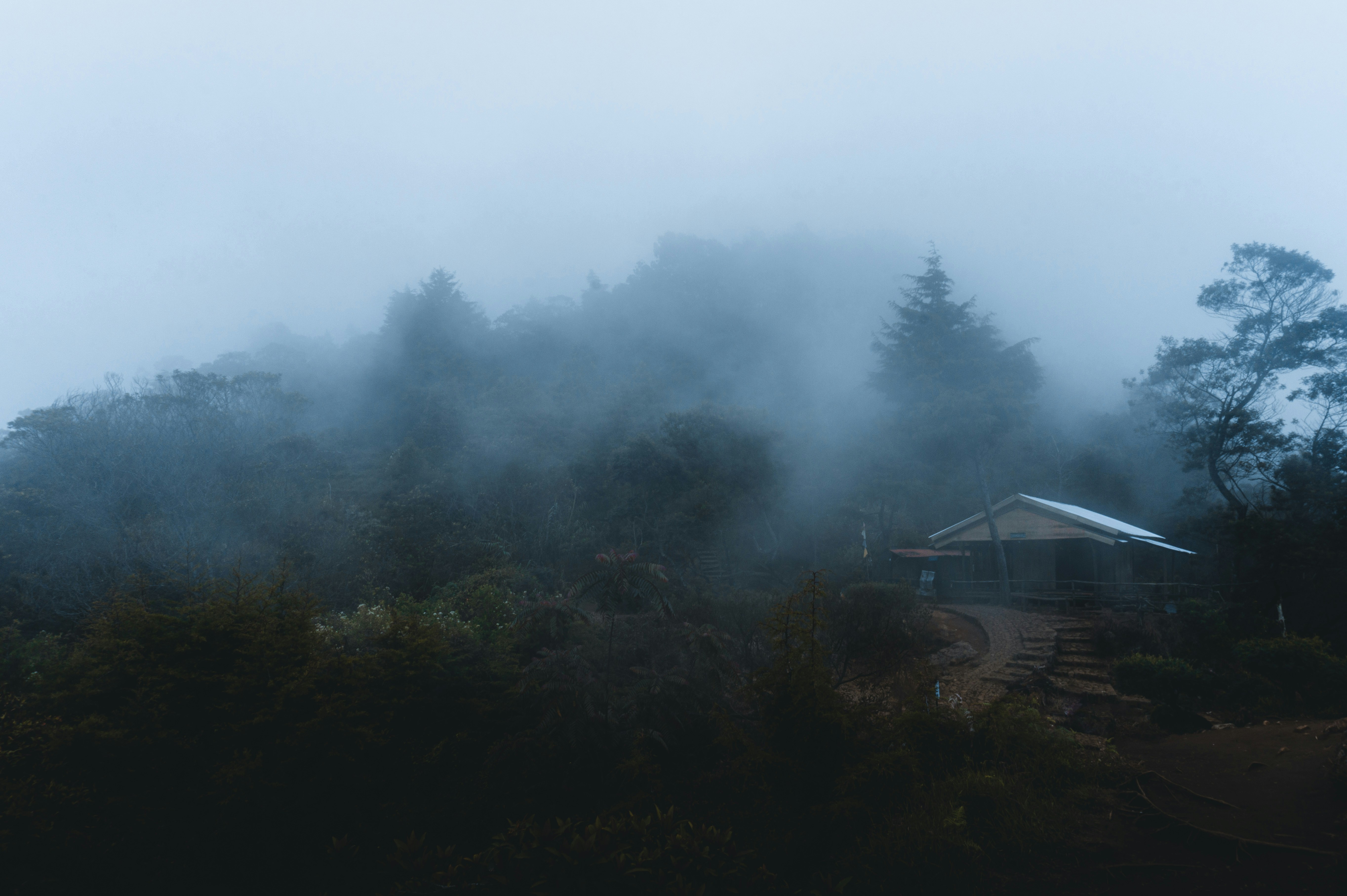 Photo by awan_project