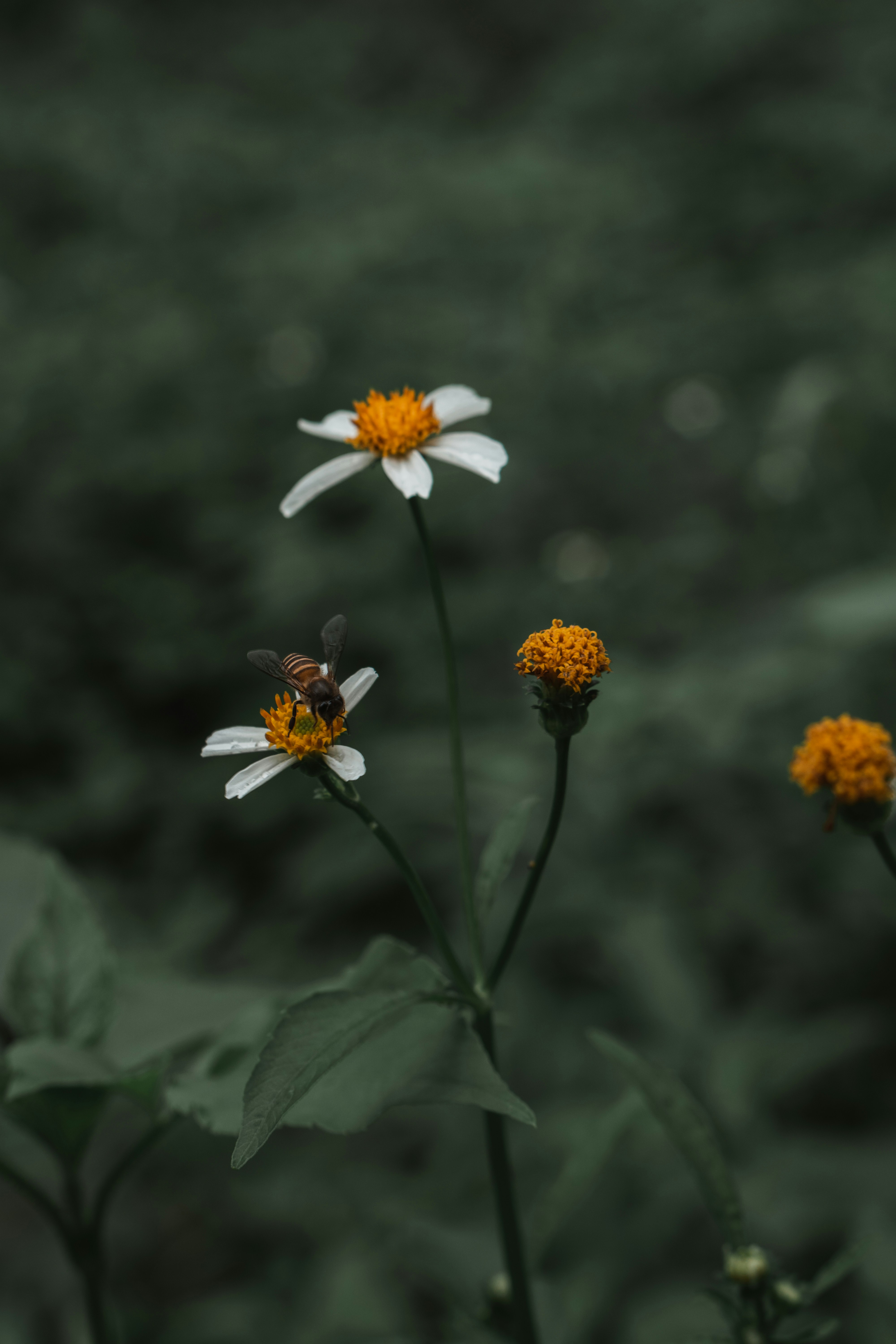 Photo by jxremy
