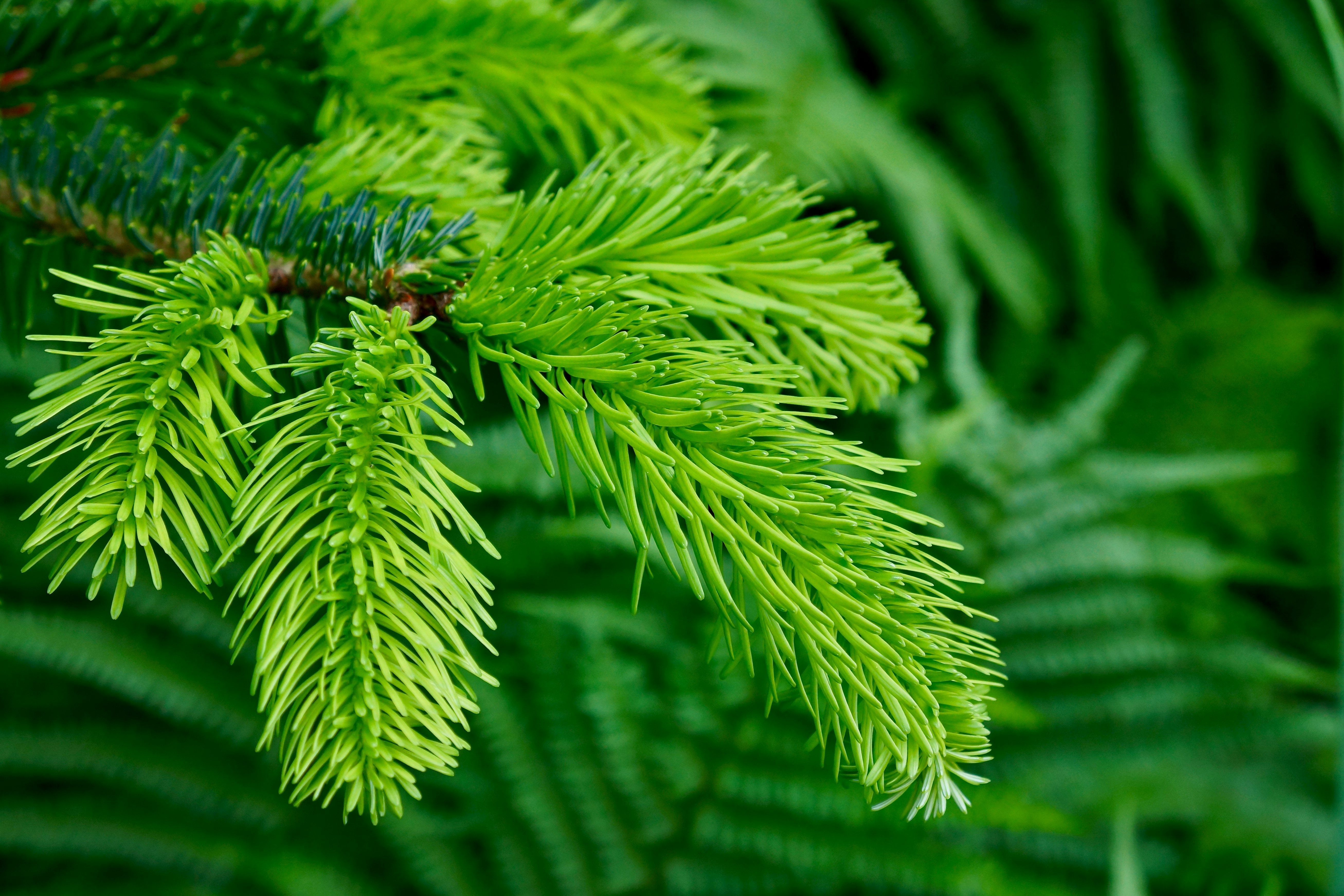 Photo by peterburdon